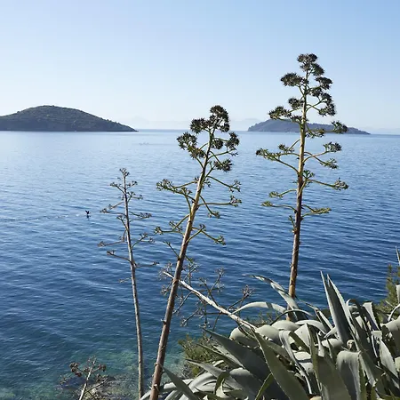 Hotel Elivi Skiathos 5*