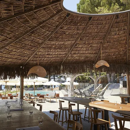 ホテル Elivi Skiathos コウコウナリス