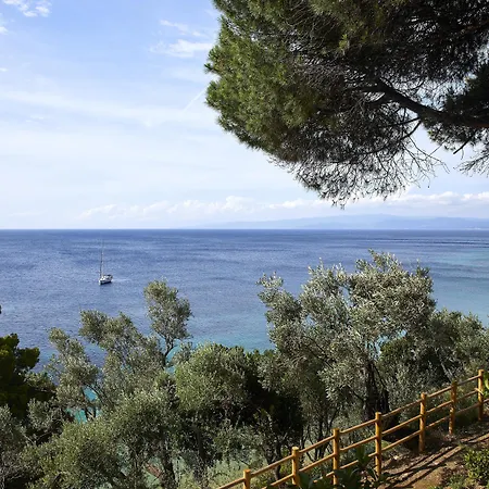 ホテル Elivi Skiathos コウコウナリス