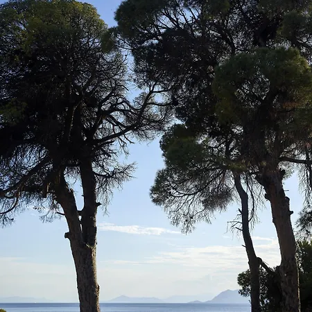 Elivi Skiathos Hotel Koukounaries