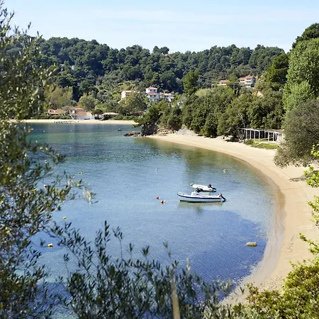 Elivi Skiathos 5* コウコウナリス