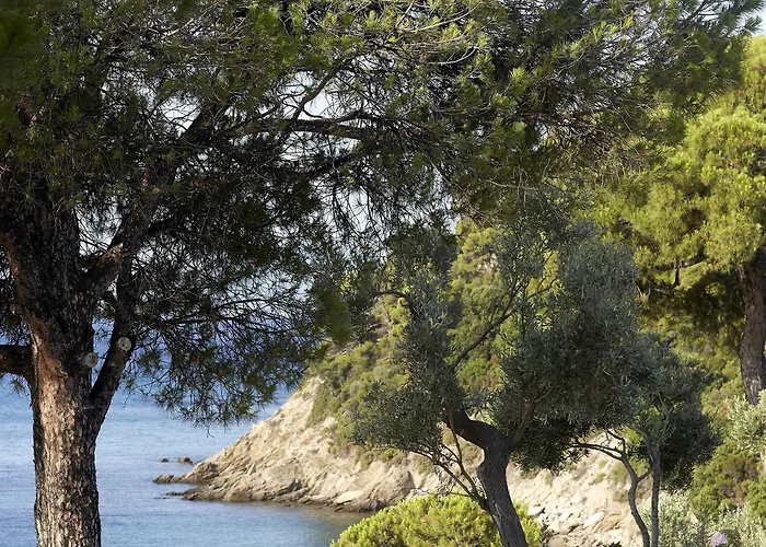 Elivi Skiathos Hotel